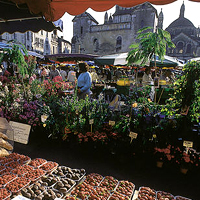 Périgueux photo 2